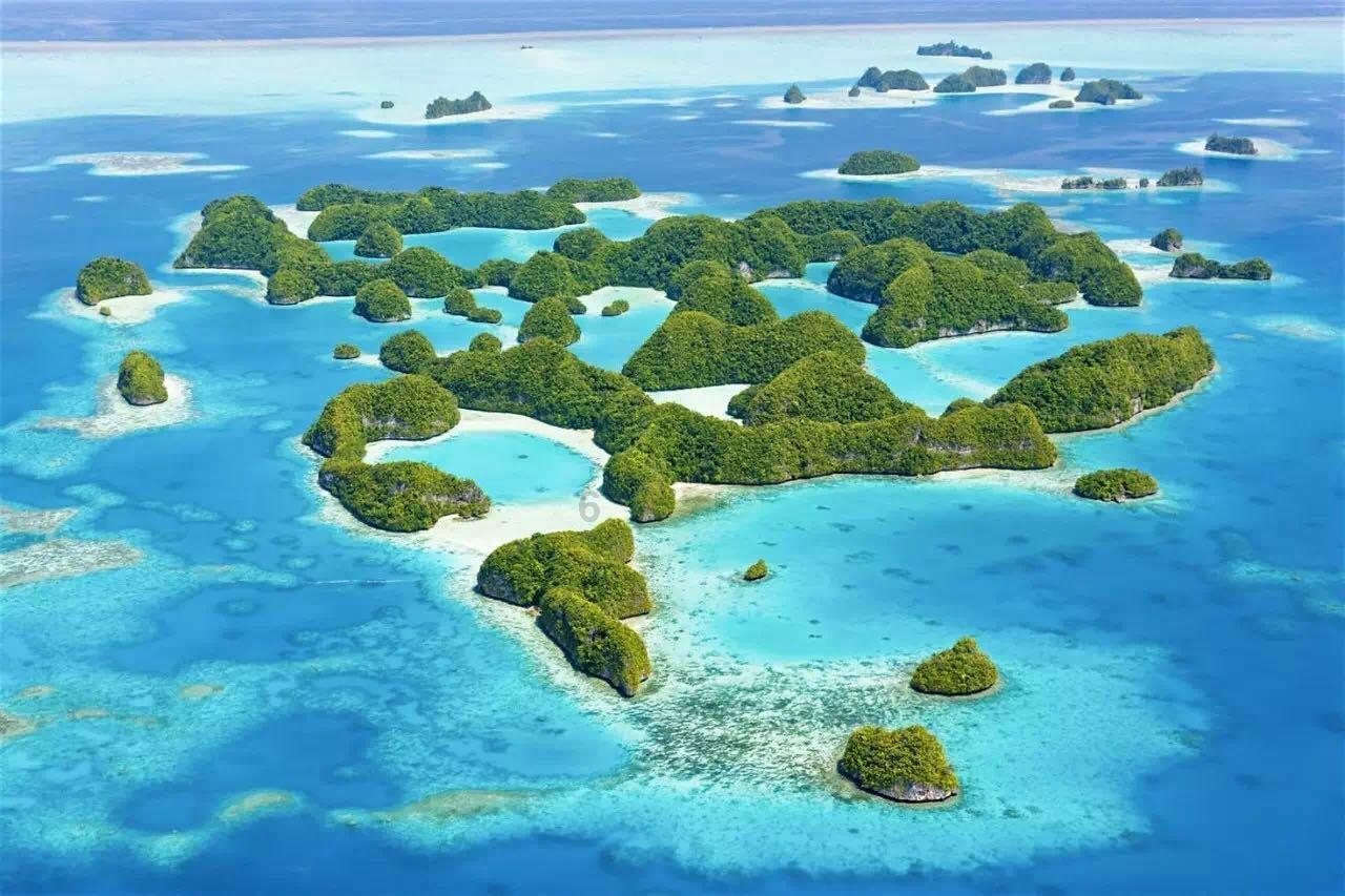 上海ifc商场，龙腾飞跃耀新春